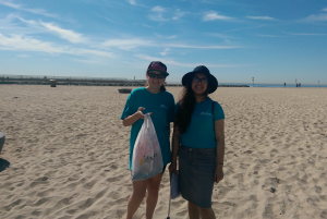 Beach Clean Up 3