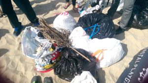 Beach Clean Up 4