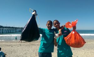 beach clean up