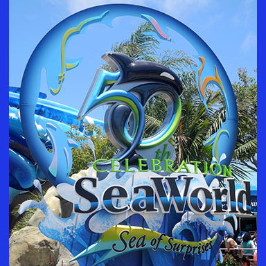 SeaWorld - San Diego - Springs Charter Schools