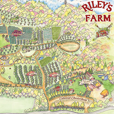 Riley's Farm - Gold Mine Adventure - Springs Charter Schools