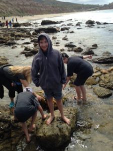 Crystal Cove Hamilton #10