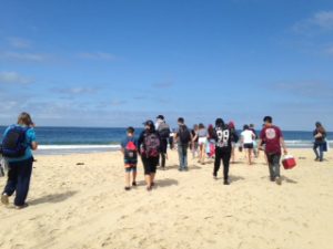 Crystal Cove Hamilton #2