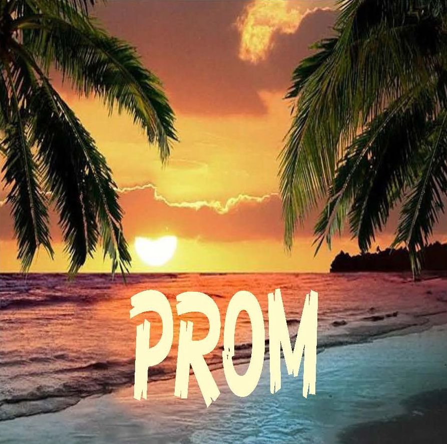 Prom Banner for Website 2 - Springs Charter Schools