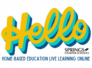 Home-based Education Live Lessons Online