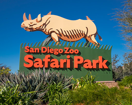 Bottlebrush  San Diego Zoo Animals & Plants