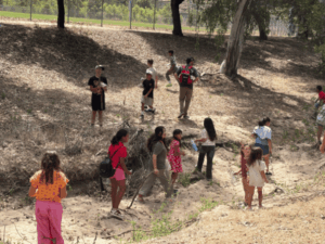 Students exploring a creek bed and natural outdoor environment during a hands-on learning activity.
