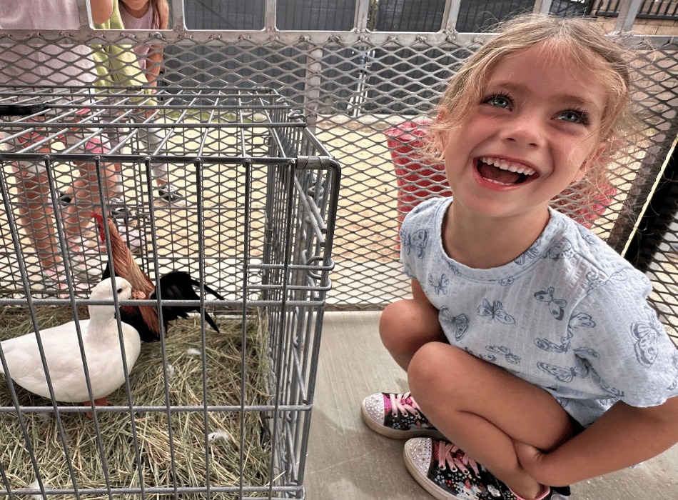 A young student crouching down and smiling enthusiastically next to a small wire pen holding a white duck and a chicken.